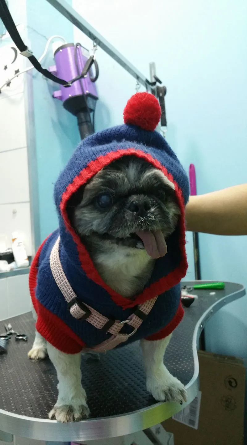 centro veterinario fierecillas (7)